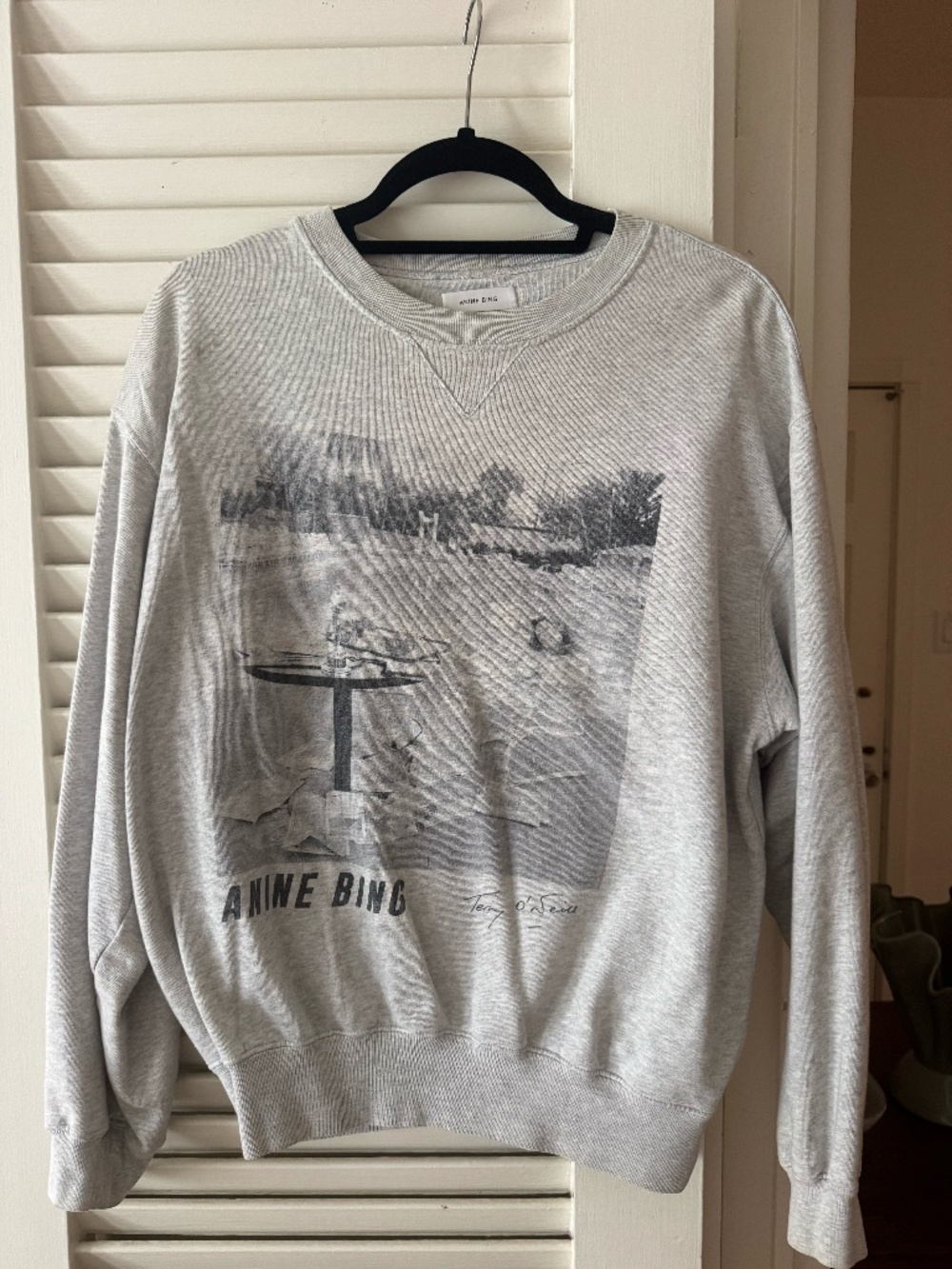 Anine Bing grey sweatshirt (S)